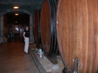 Jessica and CIA wine barrels.jpg